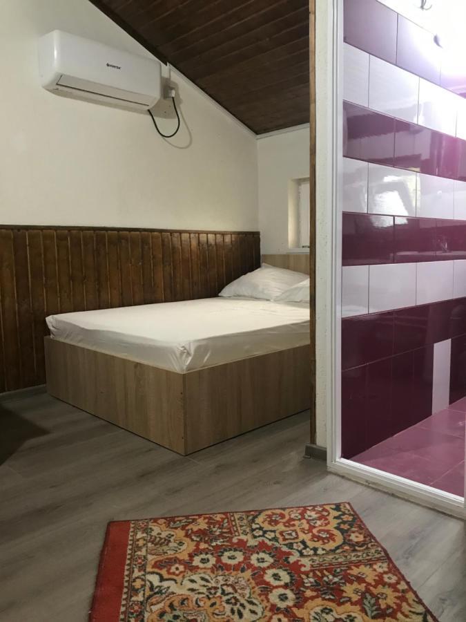 图尔恰 Casa Radu酒店 外观 照片